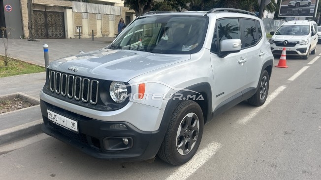 جيب رينيجادي Longitude مستعملة 3405405