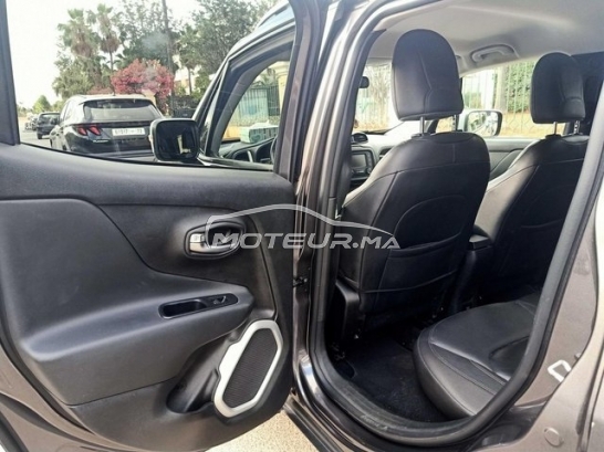 جيب رينيجادي مستعملة 2976756