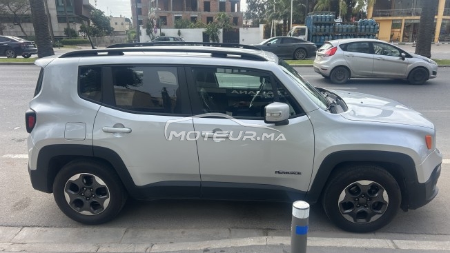 جيب رينيجادي Longitude مستعملة 3405407