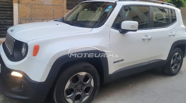 جيب رينيجادي مستعملة 1934263