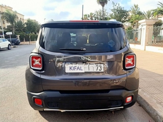 جيب رينيجادي مستعملة 2976752