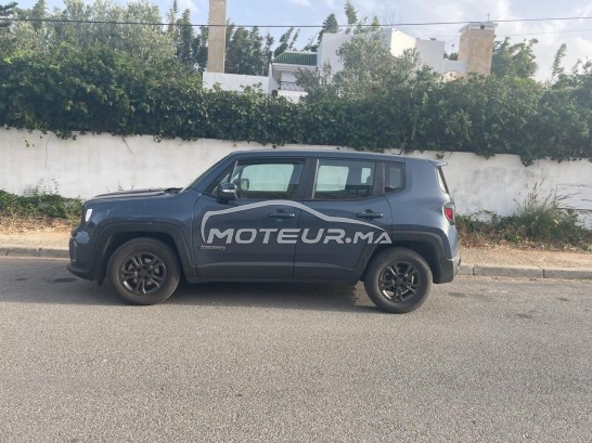 جيب رينيجادي Longitude مستعملة 1864736