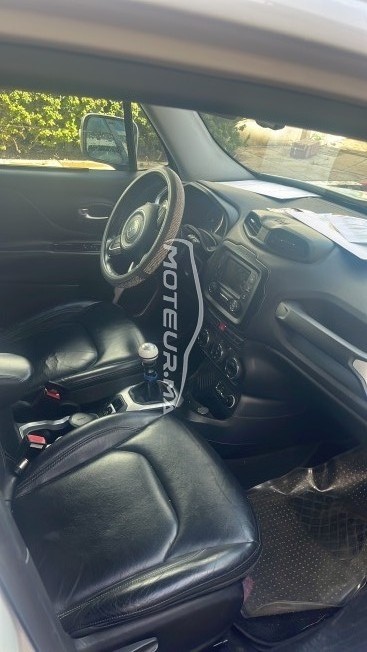 جيب رينيجادي 4/4 مستعملة 1815613