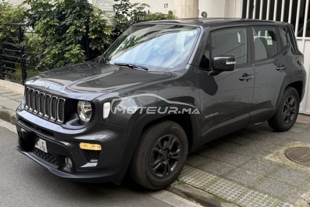 جيب رينيجادي Longitude مستعملة 3581261