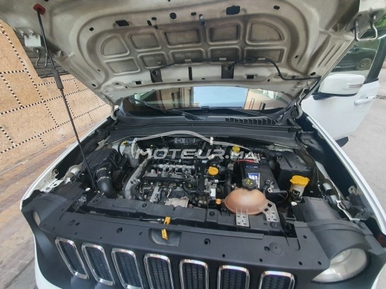 جيب رينيجادي مستعملة 1934261