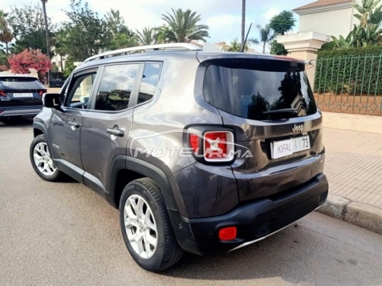 جيب رينيجادي مستعملة 2976753