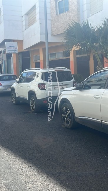 جيب رينيجادي 4/4 مستعملة 1815612