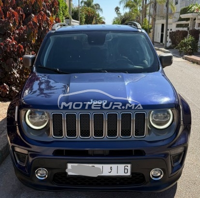 جيب رينيجادي 2020 مستعملة 2456767