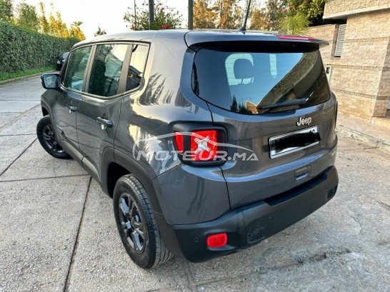 جيب رينيجادي مستعملة 2393688