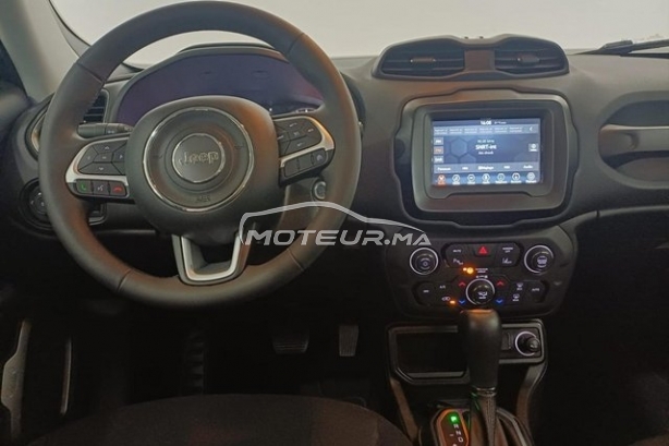 جيب رينيجادي مستعملة 2981550