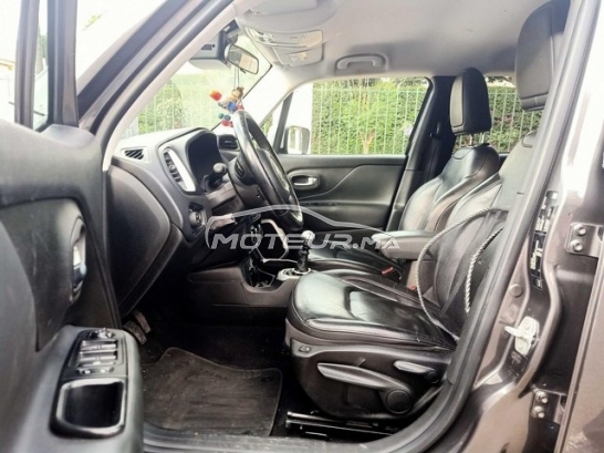 جيب رينيجادي مستعملة 2976755