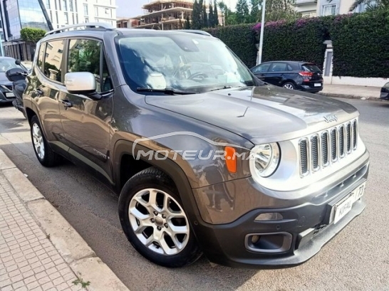 جيب رينيجادي مستعملة 2976750