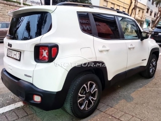 جيب رينيجادي مستعملة 1656838