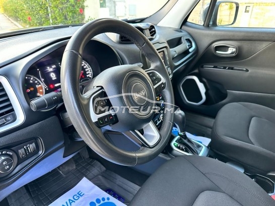 جيب رينيجادي مستعملة 2393691