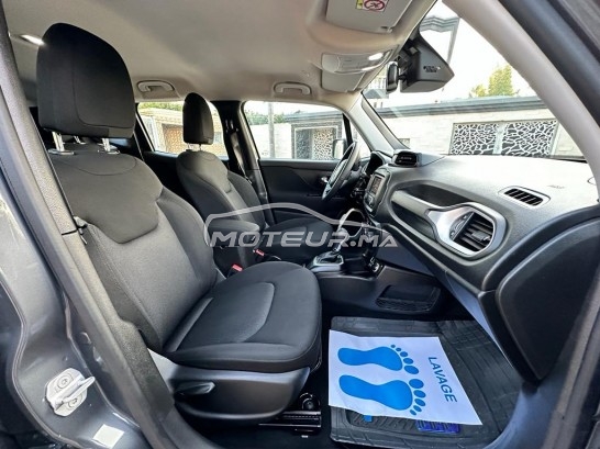 جيب رينيجادي مستعملة 2393693