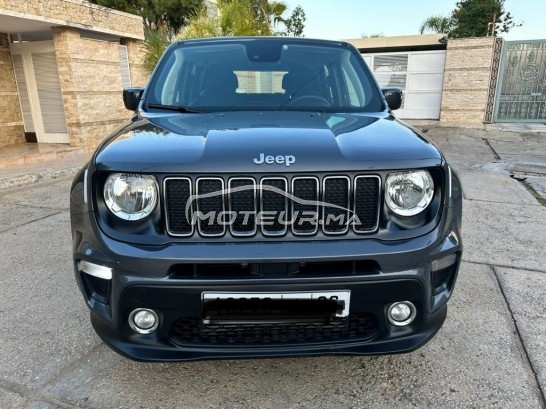 جيب رينيجادي مستعملة 2393699