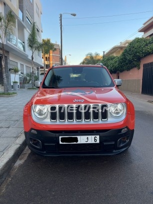 جيب رينيجادي مستعملة 1793232