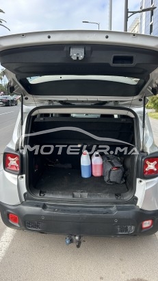 جيب رينيجادي Longitude مستعملة 3405410