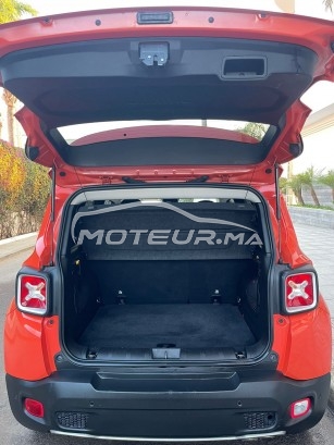 جيب رينيجادي مستعملة 1793229