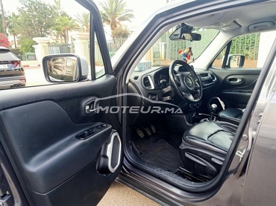 جيب رينيجادي مستعملة 2976754