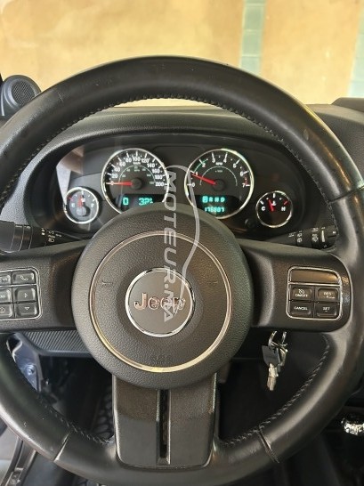 جيب ورانجلير Jk 3,6 v6 384 cv sahara مستعملة 2613787