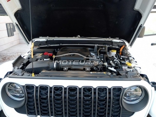 JEEP Wrangler occasion 3511744