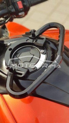 كاواساكي ز1000 مستعملة 1340933