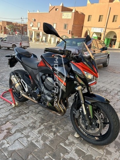 كاواساكي ز800 مستعملة 1724507