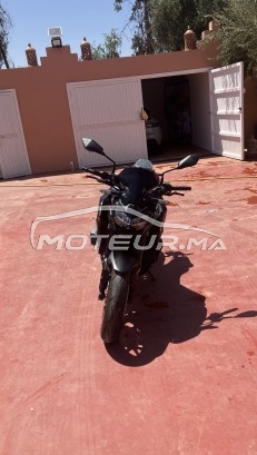 كاواساكي ز900 Zr900f مستعملة 1654304