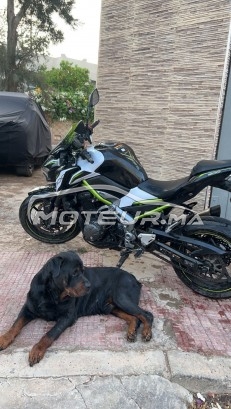 KAWASAKI Z900 occasion  1728614