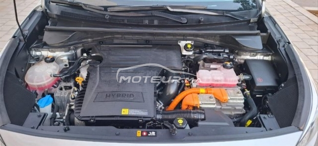 KIA Niro occasion 2044545
