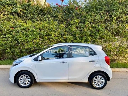 كيا بيكانتو مستعملة 1691479