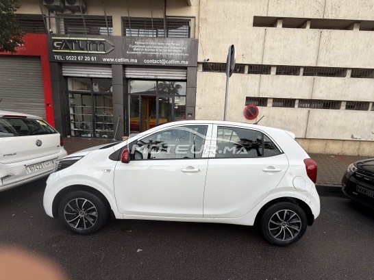 كيا بيكانتو Lifestyl مستعملة 2982311