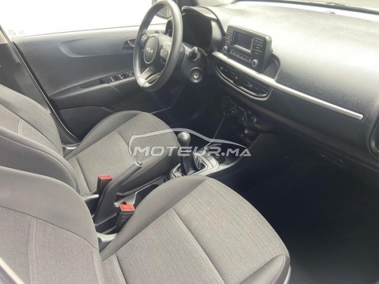 كيا بيكانتو مستعملة 2035615