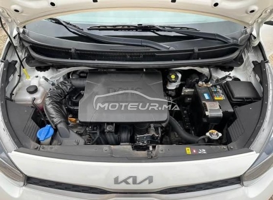 KIA Picanto occasion 3425142
