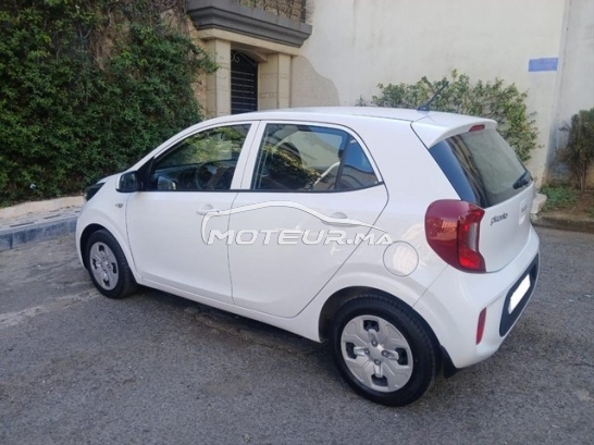 KIA Picanto occasion 2238941