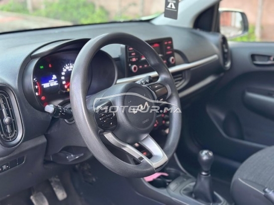 كيا بيكانتو مستعملة 3081682