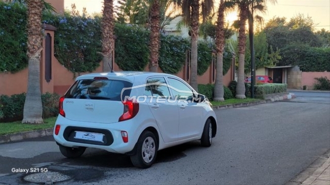 كيا بيكانتو مستعملة 3127750