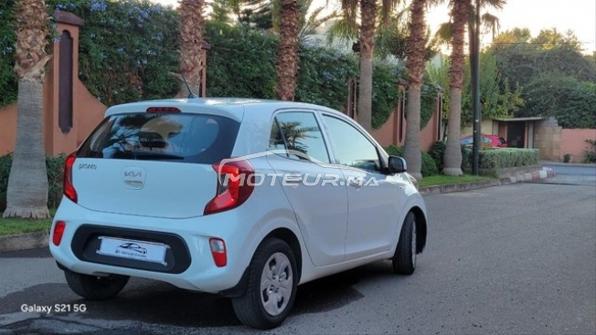 كيا بيكانتو مستعملة 3127752