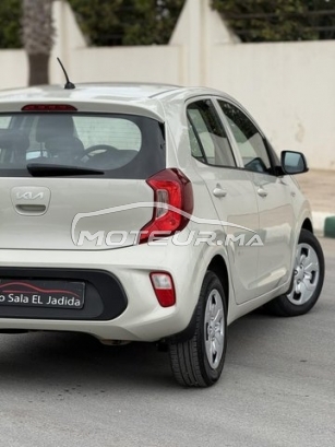 كيا بيكانتو مستعملة 3179702