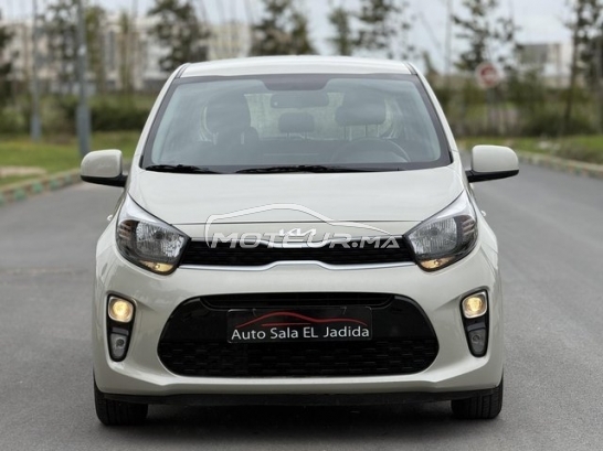 كيا بيكانتو مستعملة 3179689