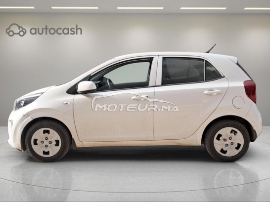 KIA Picanto occasion 2959983