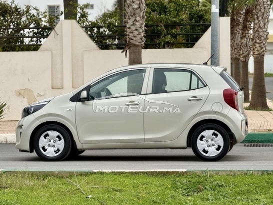 كيا بيكانتو مستعملة 3179690