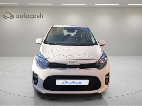 KIA Picanto occasion 3082837