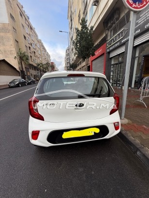 كيا بيكانتو Lifestyl مستعملة 2982308