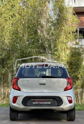 كيا بيكانتو مستعملة 3513382