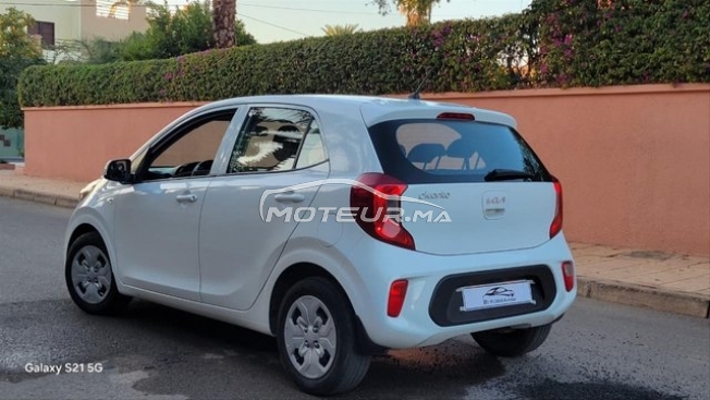 كيا بيكانتو مستعملة 3127749