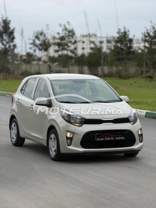 كيا بيكانتو مستعملة 3179701