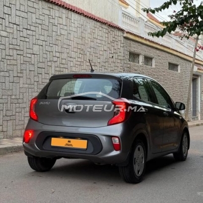 كيا بيكانتو مستعملة 3330357