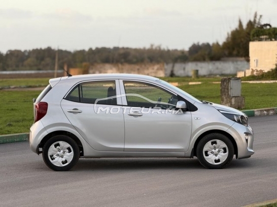 كيا بيكانتو مستعملة 3252033